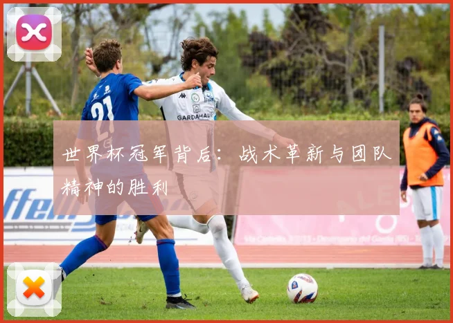 世界杯冠军背后：战术革新与团队精神的胜利