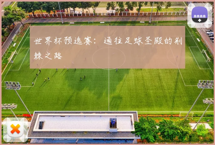 世界杯预选赛：通往足球圣殿的荆棘之路