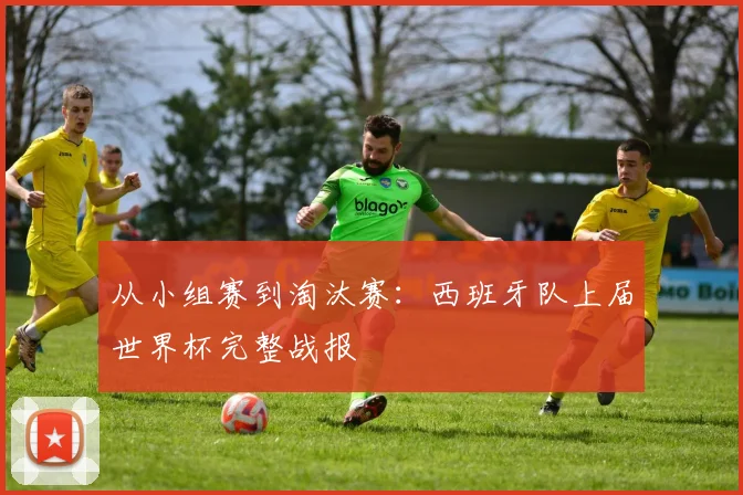 从小组赛到淘汰赛：西班牙队上届世界杯完整战报