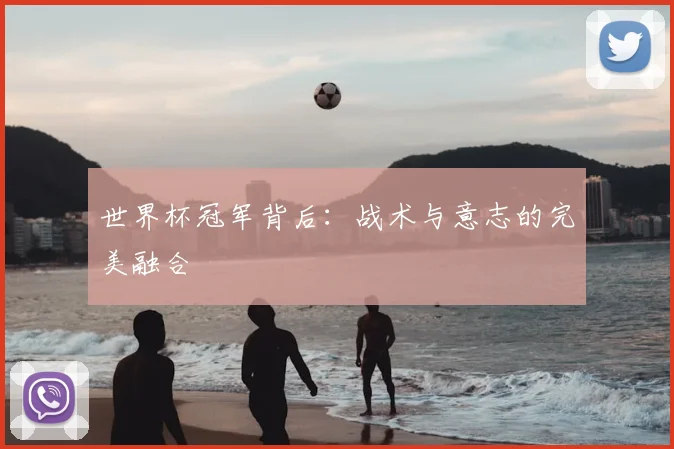 世界杯冠军背后：战术与意志的完美融合