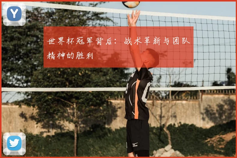 世界杯冠军背后：战术革新与团队精神的胜利
