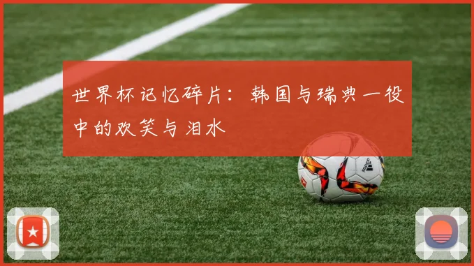 世界杯记忆碎片：韩国与瑞典一役中的欢笑与泪水