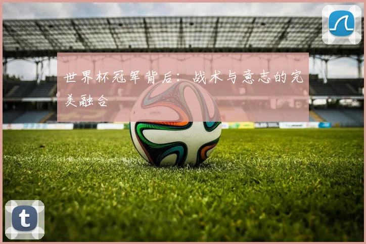 世界杯冠军背后：战术与意志的完美融合