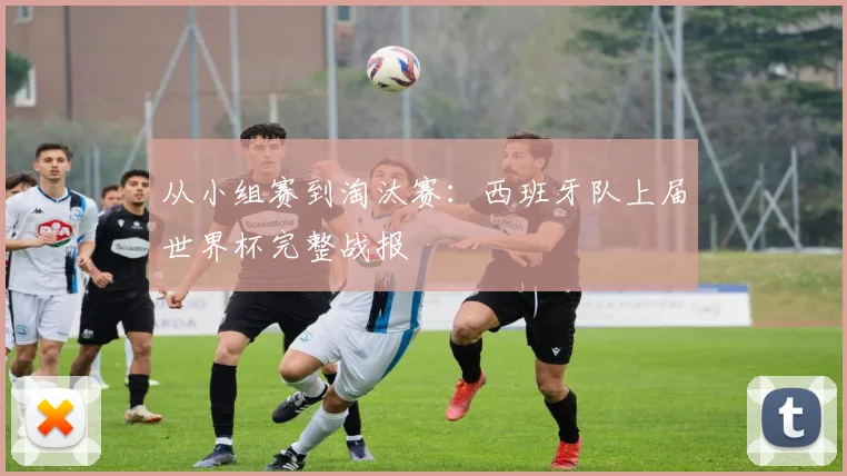 从小组赛到淘汰赛：西班牙队上届世界杯完整战报