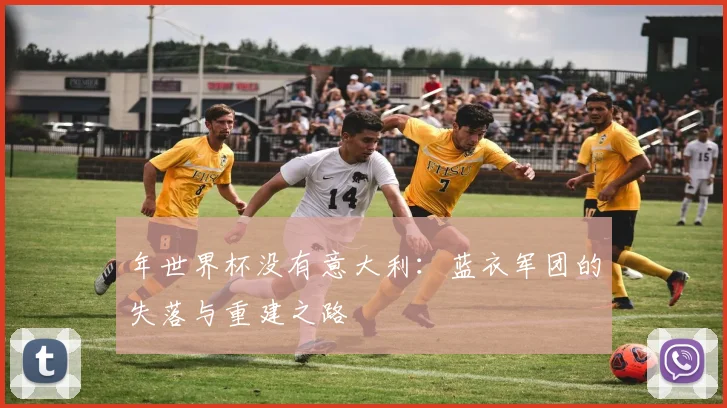 年世界杯没有意大利：蓝衣军团的失落与重建之路