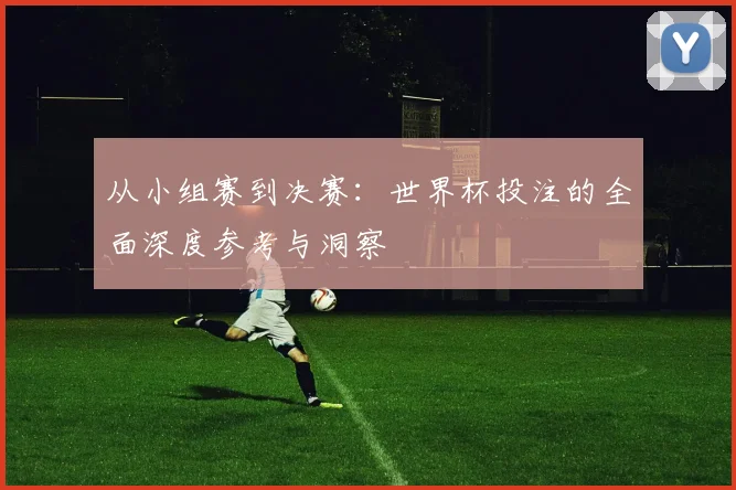 从小组赛到决赛：世界杯投注的全面深度参考与洞察