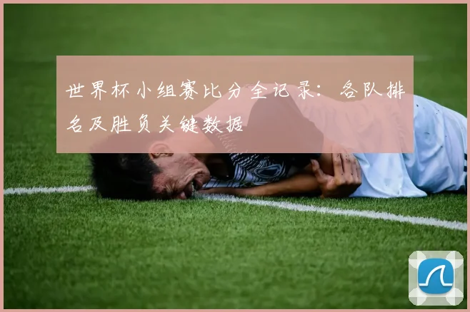 世界杯小组赛比分全记录:各队排名及胜负关键数据